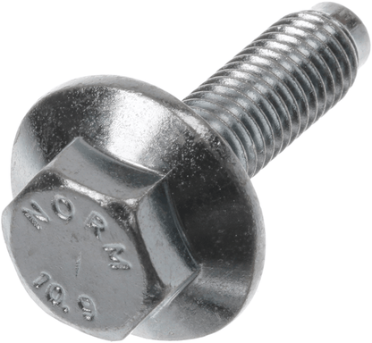 00171270 Šroub Bosch | Siemens