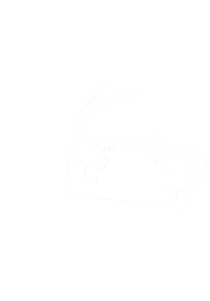 00646705 Nosič Bosch | Siemens