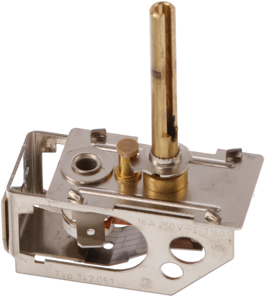 00166138 Termostat