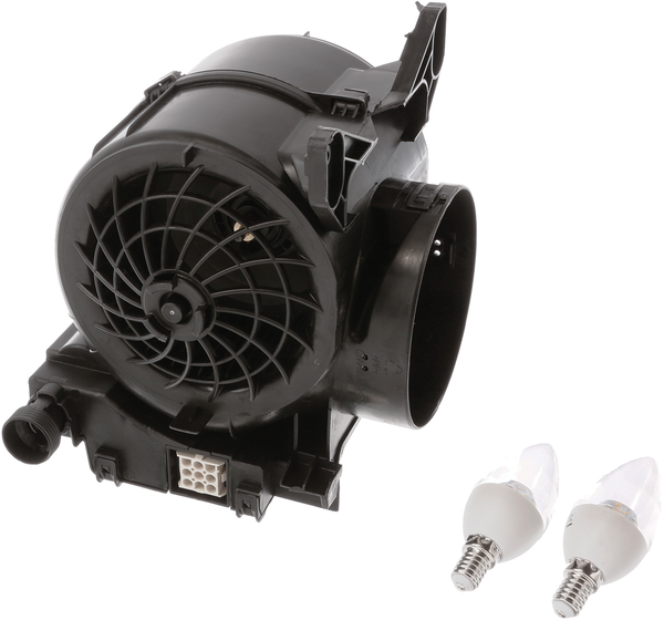11030037 Motor Bosch | Siemens