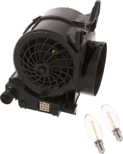 11051554 Motor Bosch | Siemens