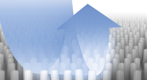 00312543 Detergent pro mokré vysavače Bosch | Siemens