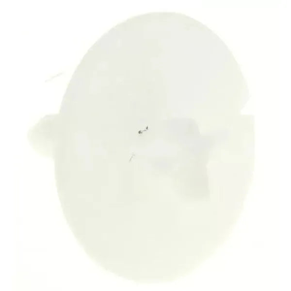 00183856 Distanční díl do sušičky prádla